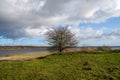 A tree by a lake with a dramatic sky in the background. Picture from Vomb, Scania, Sweden Royalty Free Stock Photo