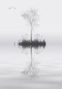 Tree on lake landscape solitude concept Royalty Free Stock Photo