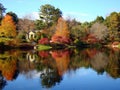 Beatiful fall scenery in Asticou Azalea Garden, Ma Royalty Free Stock Photo