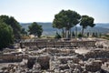 Tree Landscape at Sepphoris Zippori National Park in Central Galilee Israel Royalty Free Stock Photo