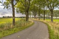 Tree lane along an old curved country road