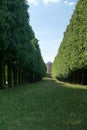 Tree lane and Belvedere