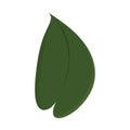 Tree leaf colored icon Vector Royalty Free Stock Photo
