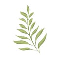 Tree leaf colored icon Vector Royalty Free Stock Photo