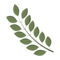 Tree leaf colored icon Vector Royalty Free Stock Photo