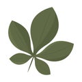 Tree leaf colored icon Vector Royalty Free Stock Photo