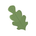 Tree leaf colored icon Vector Royalty Free Stock Photo