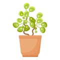 Tree leaf pot icon cartoon vector. House plant Royalty Free Stock Photo