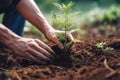 tree leaf spring planting hand gardening nature green agriculture growth. Generative AI.