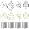 Tree Leaf Type Set