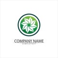 Tree leaf vector and green logo design friendly concept