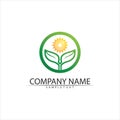 Tree leaf vector and green logo design friendly concept