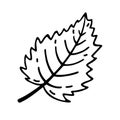 Tree leaf vector icon. Hand drawn illustration isolated on white. Simple botanical doodle, black outline. Royalty Free Stock Photo