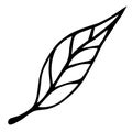 Tree leaf vector icon. Hand drawn doodle isolated on white background. Fallen autumn leaf of birch with veins. Royalty Free Stock Photo