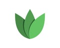Tree leaf vector logo design, eco-friendly concept Royalty Free Stock Photo
