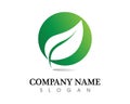 Tree leaf vector logo design, eco-friendly concept. Royalty Free Stock Photo