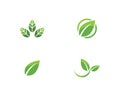 Tree leaf vector logo design