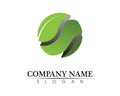 Tree leaf vector logo design, eco-friendly concept Royalty Free Stock Photo