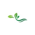 Tree leaf vector logo design eco friendly concept. Royalty Free Stock Photo