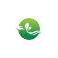 Tree leaf vector logo design eco friendly concept. Royalty Free Stock Photo