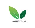 Tree leaf vector logo design, eco-friendly Royalty Free Stock Photo