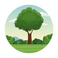 Tree leafy forest landscape stamp