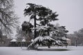 Winter in Leamington Spa, UK - 10 december 2017