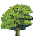 Tree with leaves. big tree art illustration