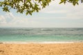 Tree leaves branches with ocean coat view in the background Royalty Free Stock Photo