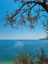 Tree leaves branches with sea coat view in the background Royalty Free Stock Photo