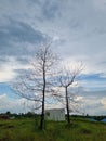 A tree without leaves can still stand and maintain its branches