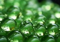 Tree leaves with dew drops. AI generated