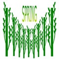 Tree leaves logo. Spring and green tree.