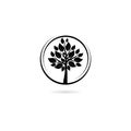 Tree with leaves logo isolated on white background Royalty Free Stock Photo