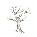 Tree without leaves. Nature sign Floral winter outdoor icon