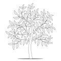 Tree with leaves outline on white background vector