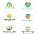Agriculture tree leaves plant logo design