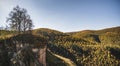 A tree without leaves on a rocky ledge against the backdrop of mountain hills with a mountain forest in autumn Royalty Free Stock Photo