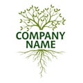 Tree with Leaves and Roots. Vector Illustration. Company name