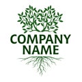 Tree with Leaves and Roots. Vector Illustration. Company name