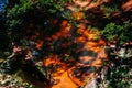 Tree leaves shadow reflected on water stream surface in tropical forest at Phu Kradueng National park, Loei - Thailand