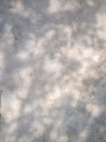 Tree leaves shadow on wall background, Abstract Background Cement Wall Shadow Light Concept Royalty Free Stock Photo