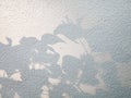 Tree leaves shadow on wall background, Abstract Background Cement Wall Shadow Light Concept Royalty Free Stock Photo