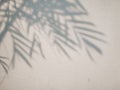Tree leaves shadow on wall background, Abstract Background Cement Wall Shadow Light Concept Royalty Free Stock Photo