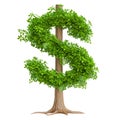 A tree with leaves in the shape of dollar signs on a white or transparent background. Money tree close-up, frontal view Royalty Free Stock Photo