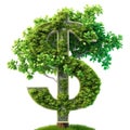 A tree with leaves in the shape of dollar signs on a white or transparent background. Money tree close-up, frontal view Royalty Free Stock Photo