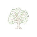 Tree with leaves. Summer nature sign Floral wood icon