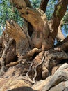 The Tree of Life, Animal Kingdom, Orlando Florida Royalty Free Stock Photo