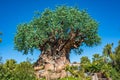 Tree of Life at the Animal Kingdom at Walt Disney World Royalty Free Stock Photo