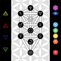 Tree of life with astrological symbols of planets, chakras and elements on background of flower of life